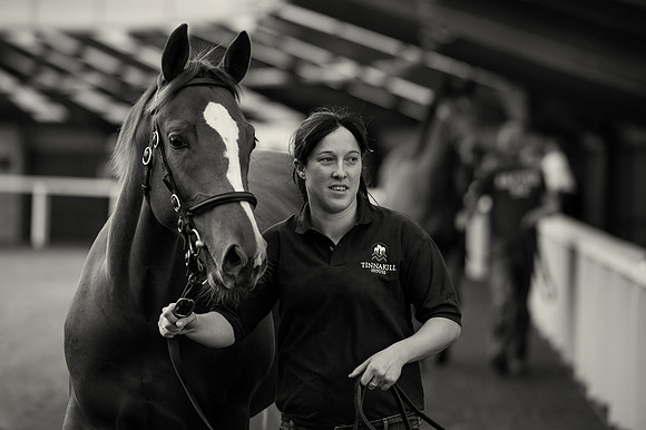 Goffs Orby14 CF11 068 bw