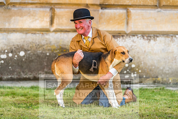 Baron Von Pfetten Puppy Show 02.09.18-85