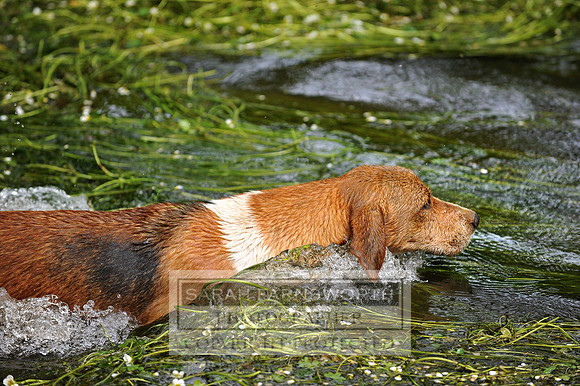KES_4834