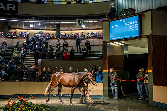 Goffs Orby 2018 Day 2-179