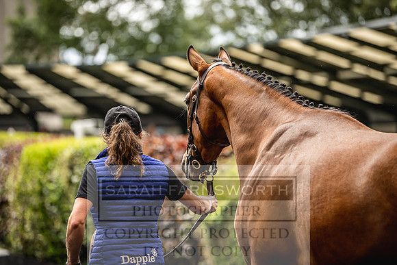 Goffs Land Rover Sale 2022-580