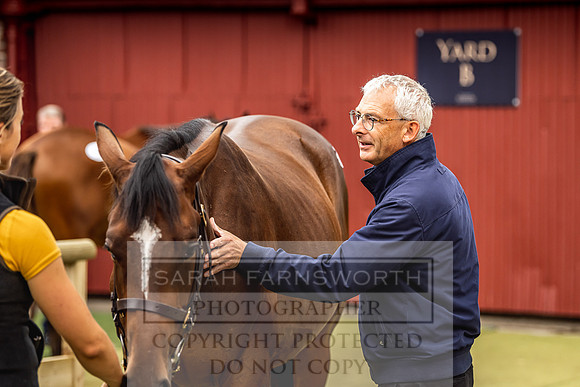 Goffs Yorton Sale 2022-158