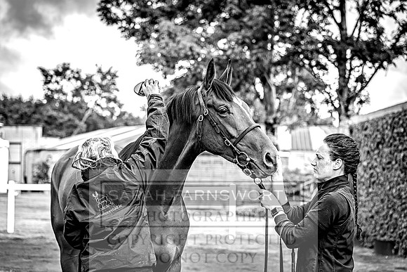 Goffs Land Rover Sale 2022-532