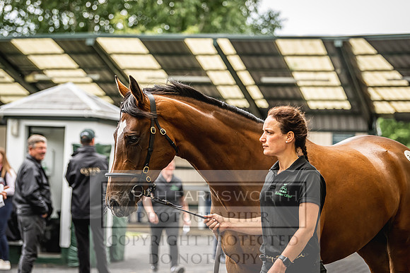 Goffs Land Rover Sale 2022-645