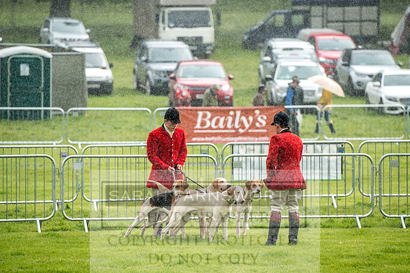 Lowther Hound Show 2017-5