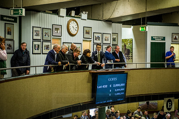 Goffs Orby 2015 -632