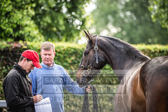 Goffs Land Rover Sale 2022-9