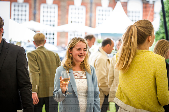 Goffs London Sale 2016-308