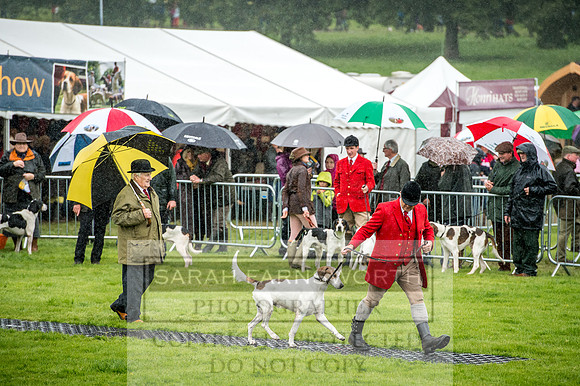 Lowther Hound Show 2017-17