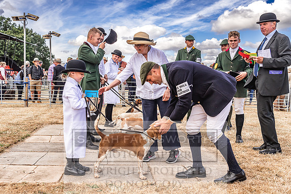 Honiton Hound Show 2022-57