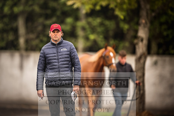 Goffs Orby 2022 Day 1-40