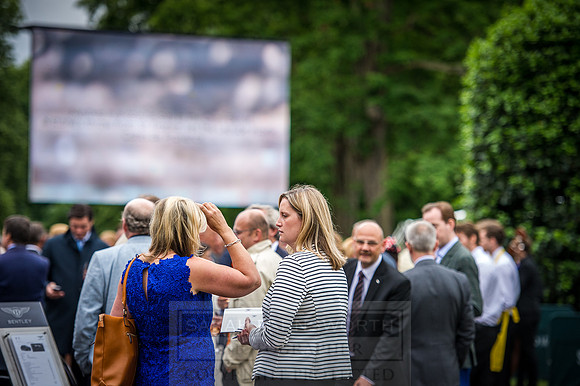 Goffs London Sale 2016-104