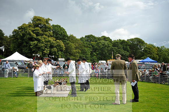 Rydal 2014 CF1 320
