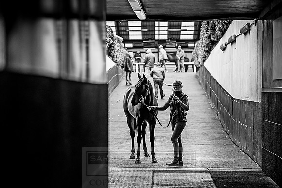 Goffs Orby 2018 Day 1-236