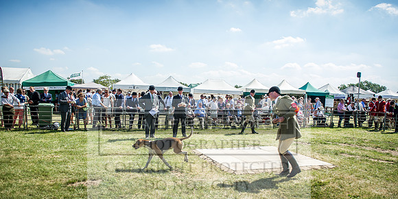 PFoH 2016-581