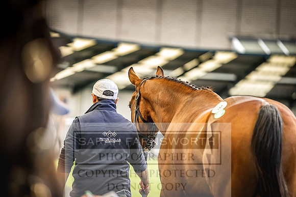 Goffs Land Rover Sale 2022-192
