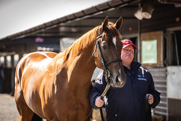 Goffs UK Breeze Up 2022-183