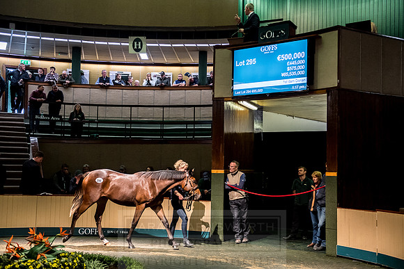 Goffs Orby 2018 Day 2-119