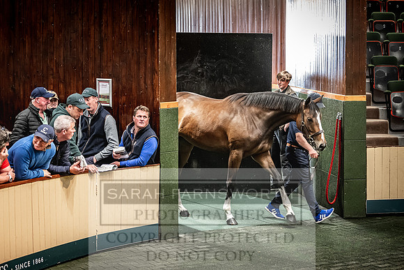Goffs Land Rover Sale 2022-196