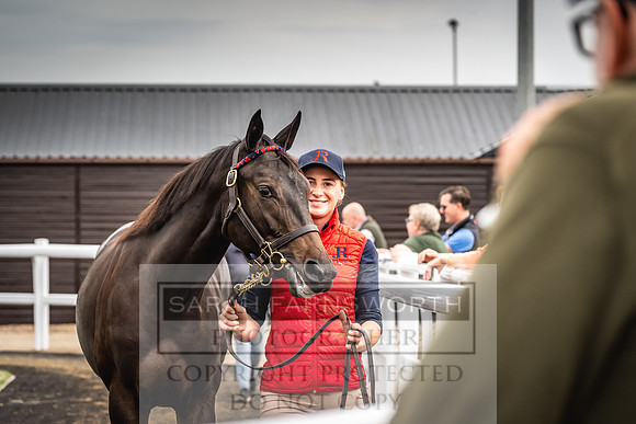 Goffs UK PY24-429