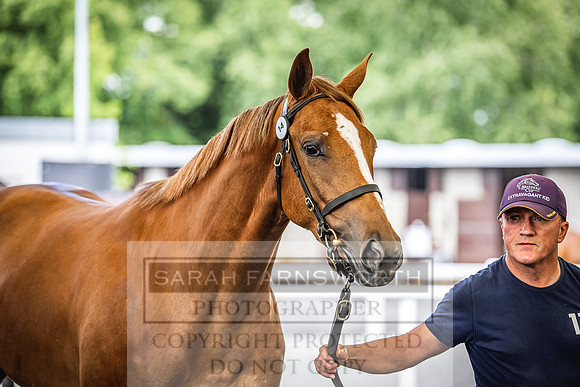 Goffs Land Rover Sale 2022-184