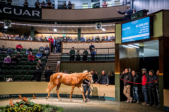 Goffs Orby 2018 Day 1-406