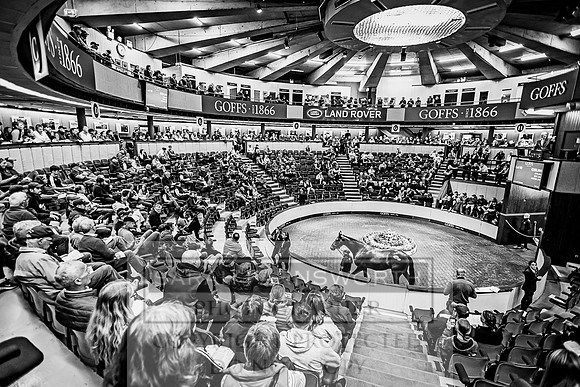 Goffs Land Rover Sale 2022-293
