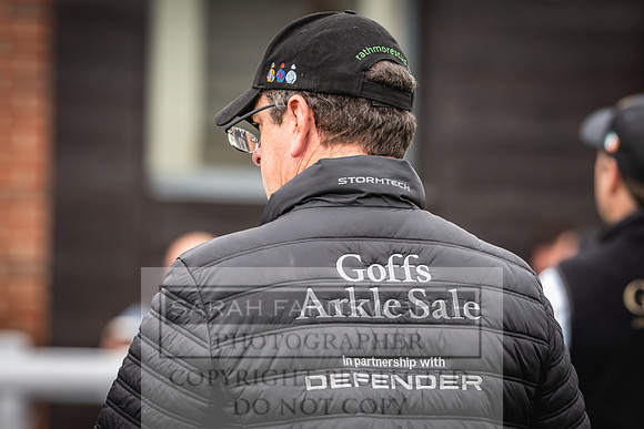 Goffs UK Spring Sale 2024-100