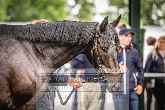 Goffs Land Rover Sale 2022-419