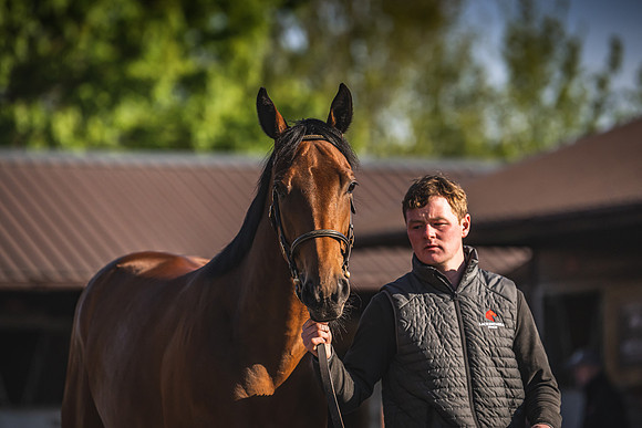 Goffs UK Breeze Up 2022-26