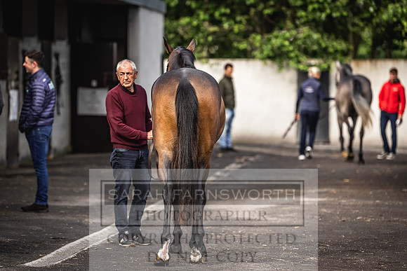 Goffs Land Rover Sale 2022-2