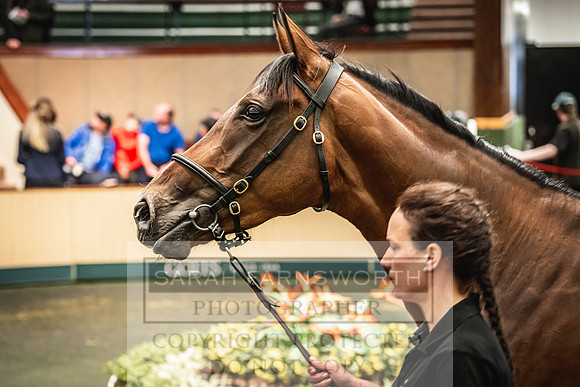 Goffs Land Rover Sale 2022-659
