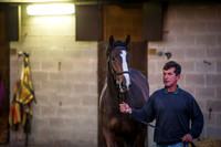 Goffs Orby 2015 -15
