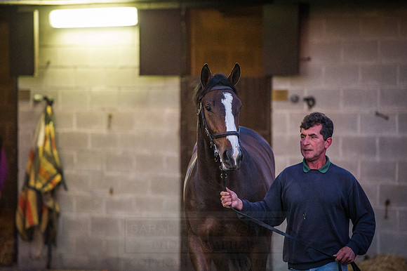 Goffs Orby 2015 -15
