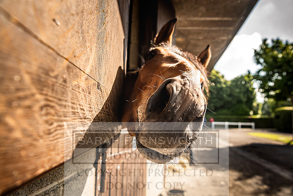 Goffs Land Rover Sale 2022-147