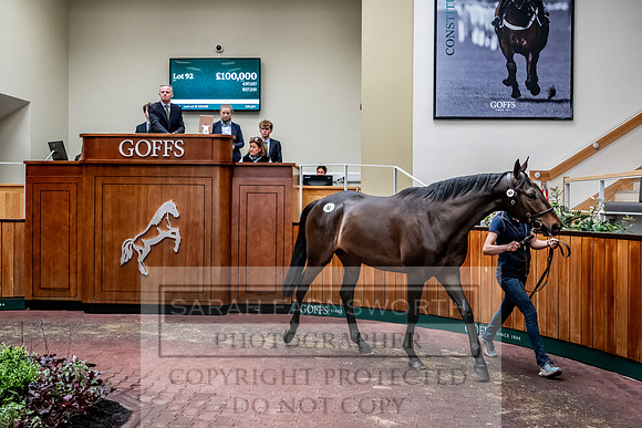 Goffs UK Spring Sale 2024-138