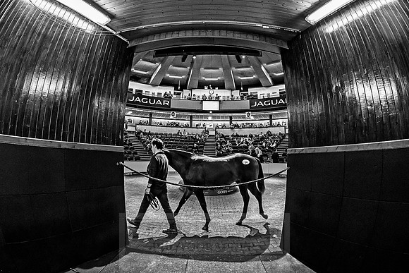 Goffs Orby 2018 Day 1-272