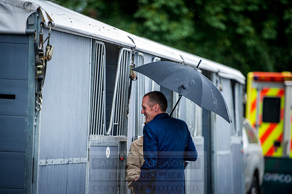 Goffs London Sale 2016-232