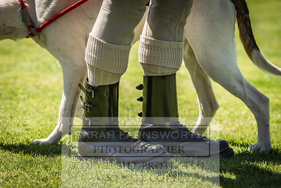 Rydal Hound Show 2022-83