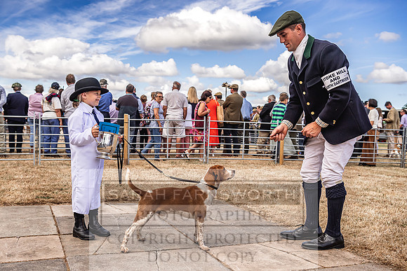 Honiton Hound Show 2022-60