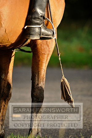 Brocklesby 021113 CF3 1072