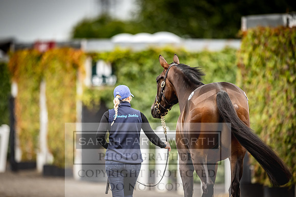 Goffs Land Rover Sale 2022-616
