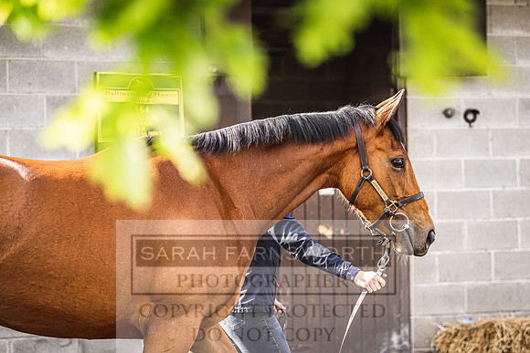 Goffs Land Rover Sale 2022-124