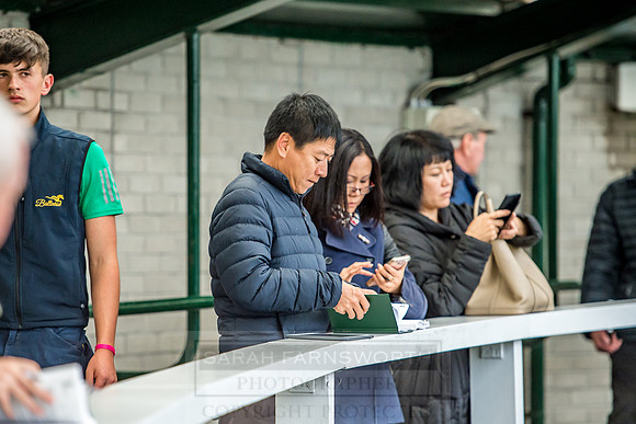 Goffs Orby 2018 Day 2-123