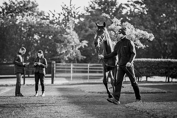 Goffs Orby 2015 -161 bw