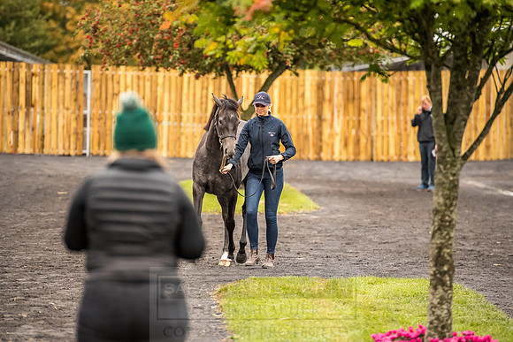 Goffs Orby 2018 Day 1-40