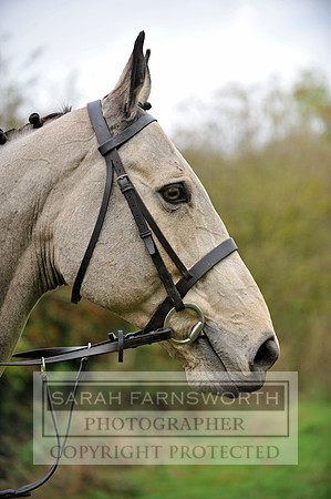 Brocklesby 021113 CF3 840