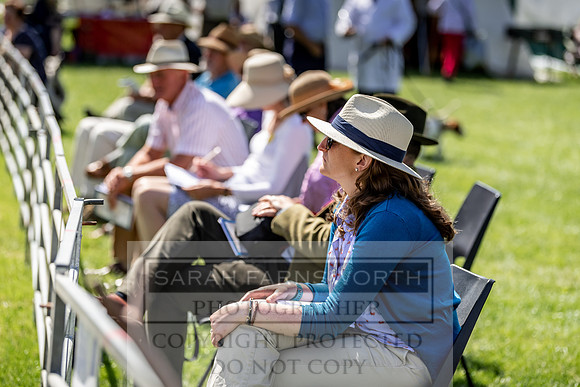 Builth Hound Show 2019-179