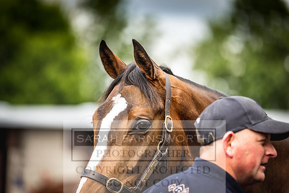 Goffs Land Rover Sale 2022-186