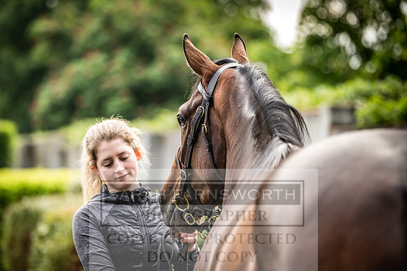 Goffs Land Rover Sale 2022-57